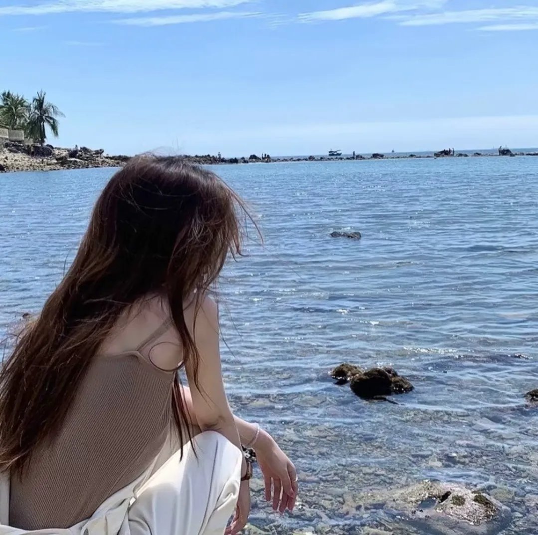 大丽花与红皮书